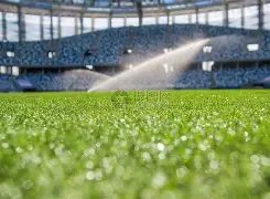 拜仁客场挑,战德甲,周年庆典赛,007球探足球比分,007球探比分官网,007球探体育,007球探网页版,007球探app下载电脑版