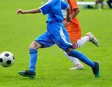 芳草地国际,学校西山区,足球赛事夺,007球探足球比分,007球探比分官网,007球探体育,007球探网页版,007球探app下载电脑版