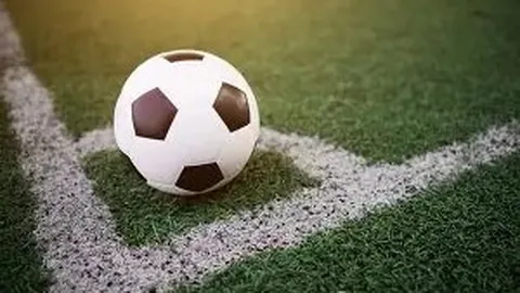 浙江綠城能源足球俱樂部正式轉型為浙江職業足球隊