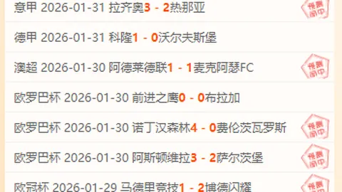 “雄安足球盛宴：现场感受“足球自由”魅力”